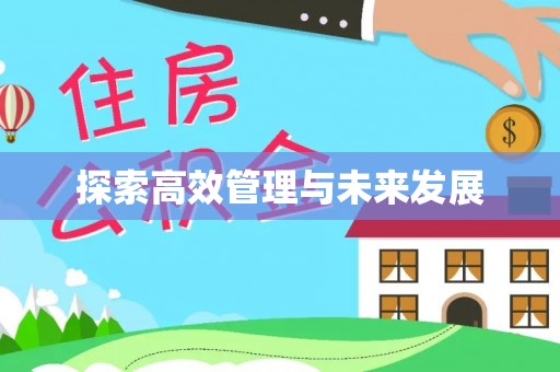 吉州探索高效管理与未来发展