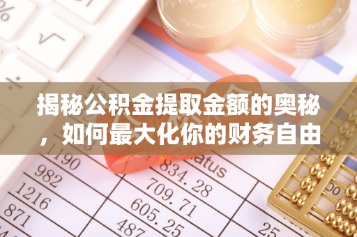 吉州揭秘公积金提取金额的奥秘，如何最大化你的财务自由