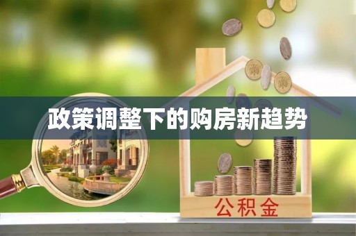 吉州政策调整下的购房新趋势