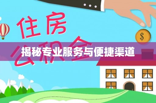 吉州揭秘专业服务与便捷渠道