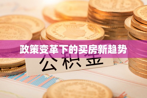 吉州政策变革下的买房新趋势