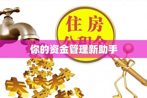 吉州你的资金管理新助手