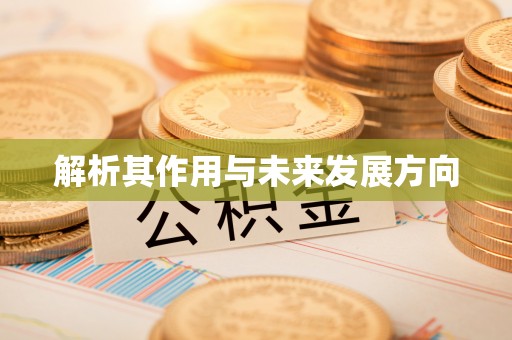 吉州解析其作用与未来发展方向