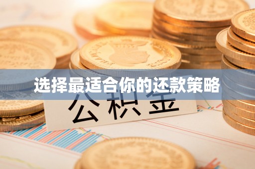吉州选择最适合你的还款策略